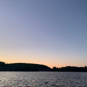 Meet your Posher, Millie